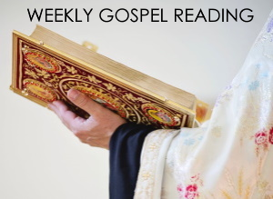 Weekly Gospel Reading